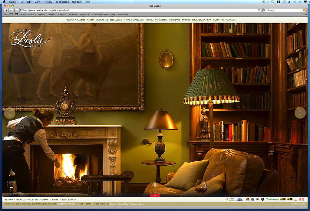 Screen shot showing how our image was used on the Library in The Castle page on Castle Leslie Estate's website.