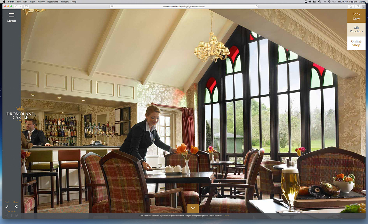 Our work as seen on the Fig Tree Restautant page on Dromoland Castle's website.