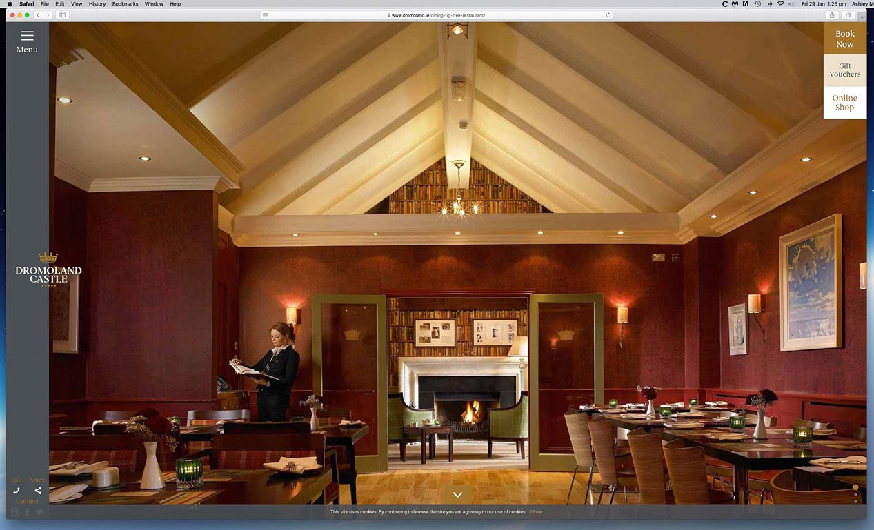 Our work as seen on the Fig Tree Restautant page on Dromoland Castle's website.
